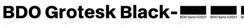 BDO Grotesk Black字体转换